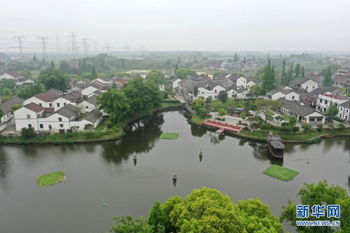 浙江湖州 推動鄉(xiāng)村振興 促進(jìn)共同富裕